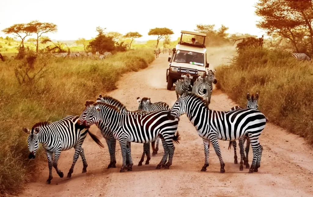 east africa bookings
