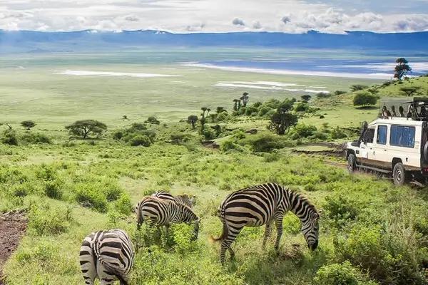 east africa safari news