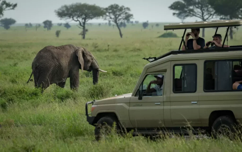 east africa safari news