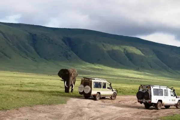 3-Days-Ngorongoro-Crater-Safari