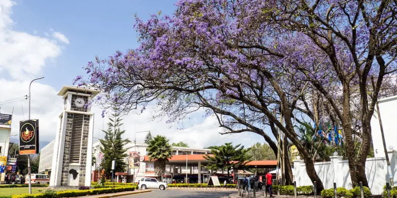 Arusha-city-study-tour