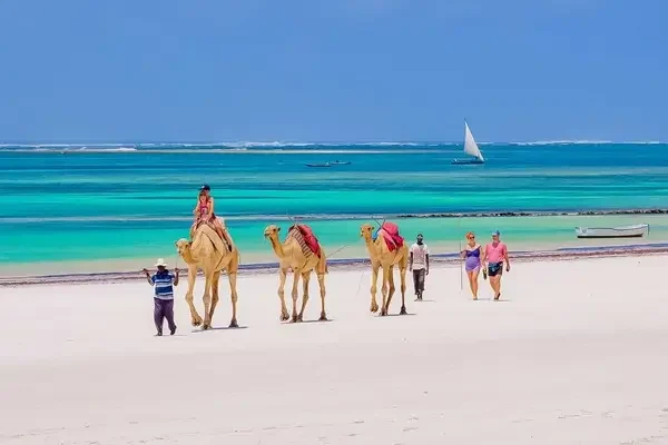 Beach Safaris and relaxation