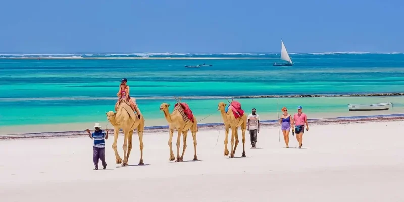 Explore Mombasa with East Africa Bookings
