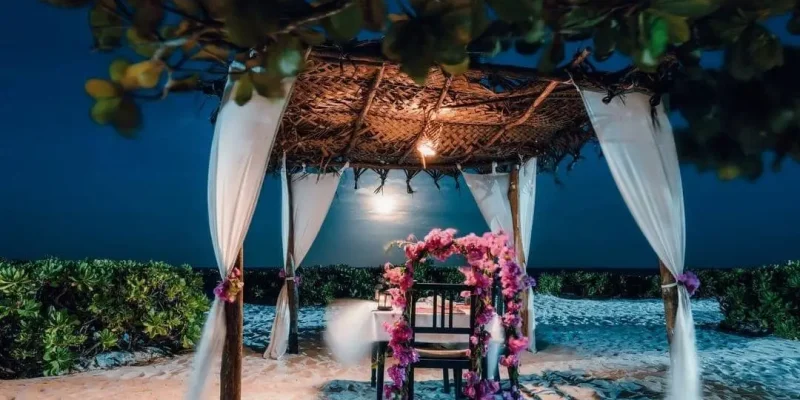 Honeymoon getaway in Arusha