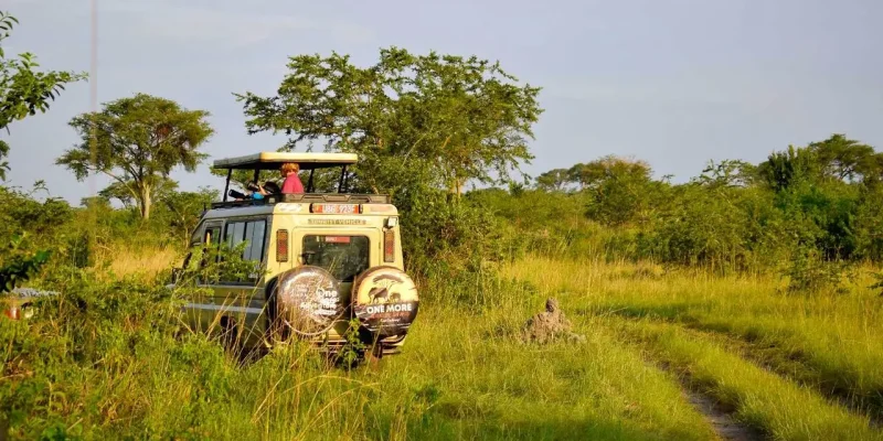 Kenya Uganda Safari by east africa bookings