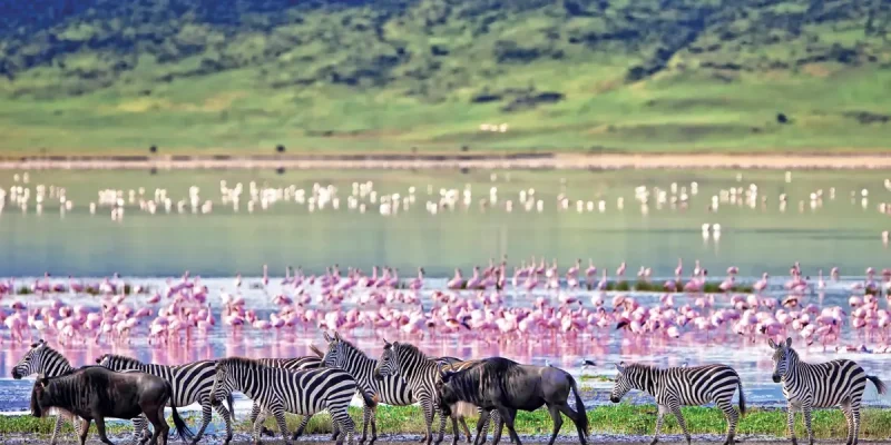 Ngorongoro-Crater-Conservation-Area-Safari-Tanzania-tours