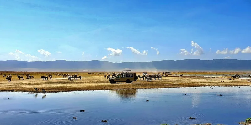 Panorama-of-Ngorongoro-Crater-safari-the-ultimate-tourism-destination