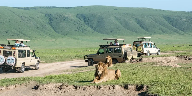 Tarangire National Park Safari