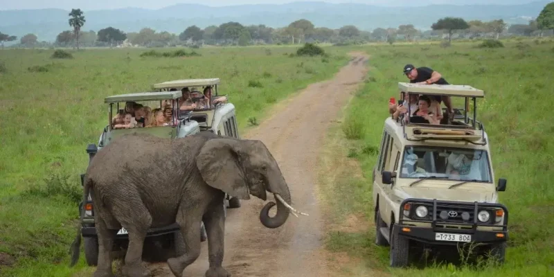 Tarangire NationalPark
