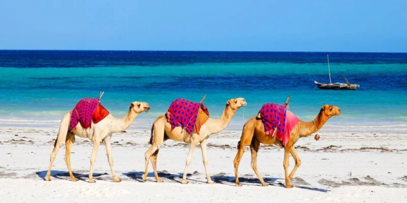 diani-beach-adventure