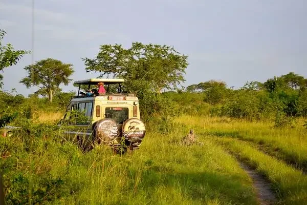kenya-uganda-safari
