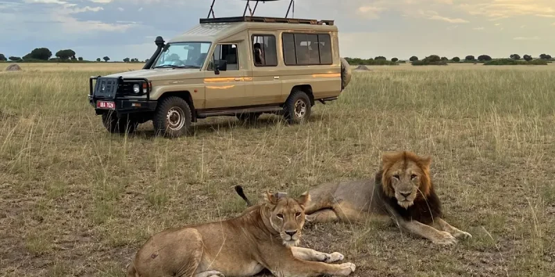 lions-kampala-city-tour