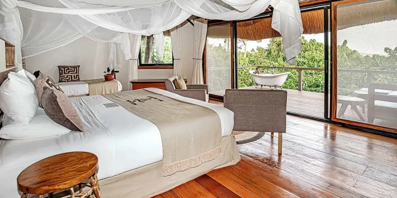 mabira-forest-jinja-honeymoon