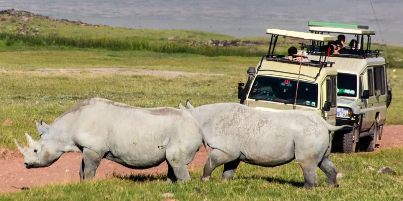 ngorongoro-crater-package-safari