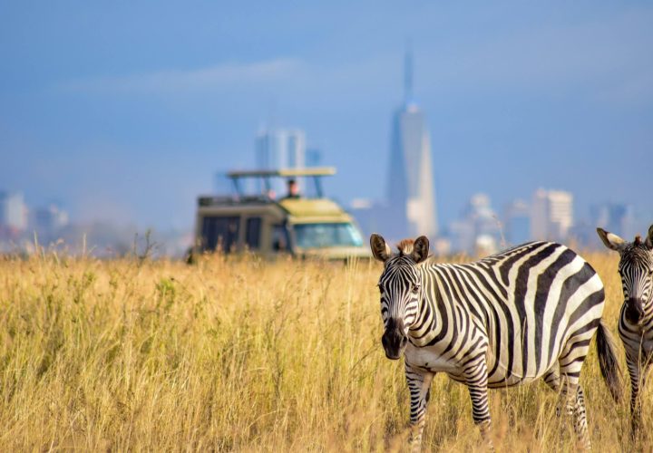 visit-nairobi-national-park